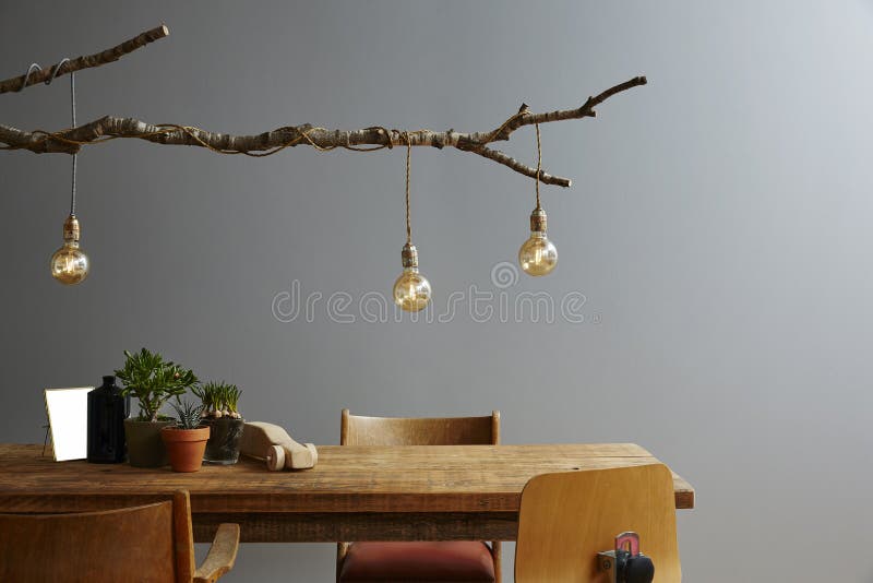 Branche et ampoules en bois intérieures modernes de meubles et de lampe de conception photographie stock libre de droits