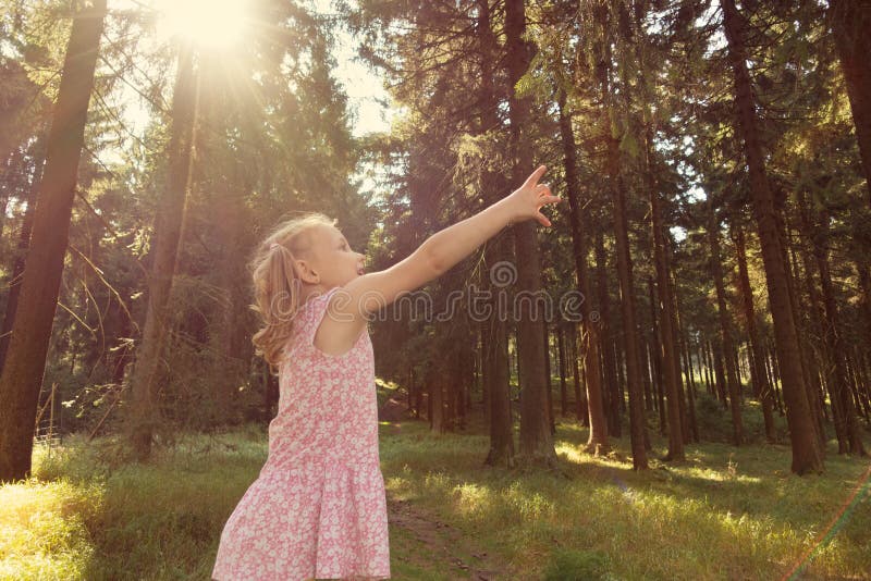 Download Branche Mignonne De Portée De Fille De Petit Enfant Dans La Forêt D'été Image stock - Image du assez, people: 77154499