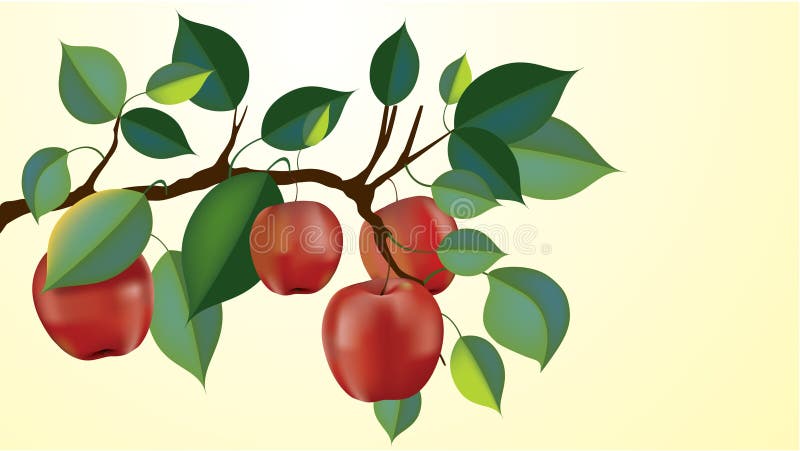 Branchement rouge de pomme