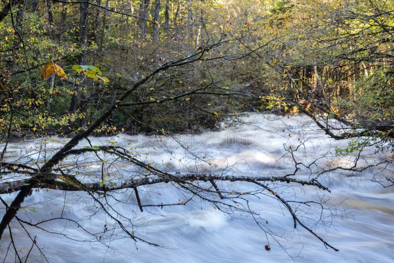 Branches d'arbre d'automne à travers les eaux d'inondation faisantes rage photo stock Branches d'arbre d'automne à travers les eaux d'inondation faisantes rage photo stock