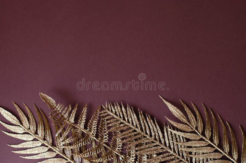 Branches d'or des plantes tropicales sur un fond brun photographie stock libre de droits Branches d'or des plantes tropicales sur un fond brun photographie stock libre de droits