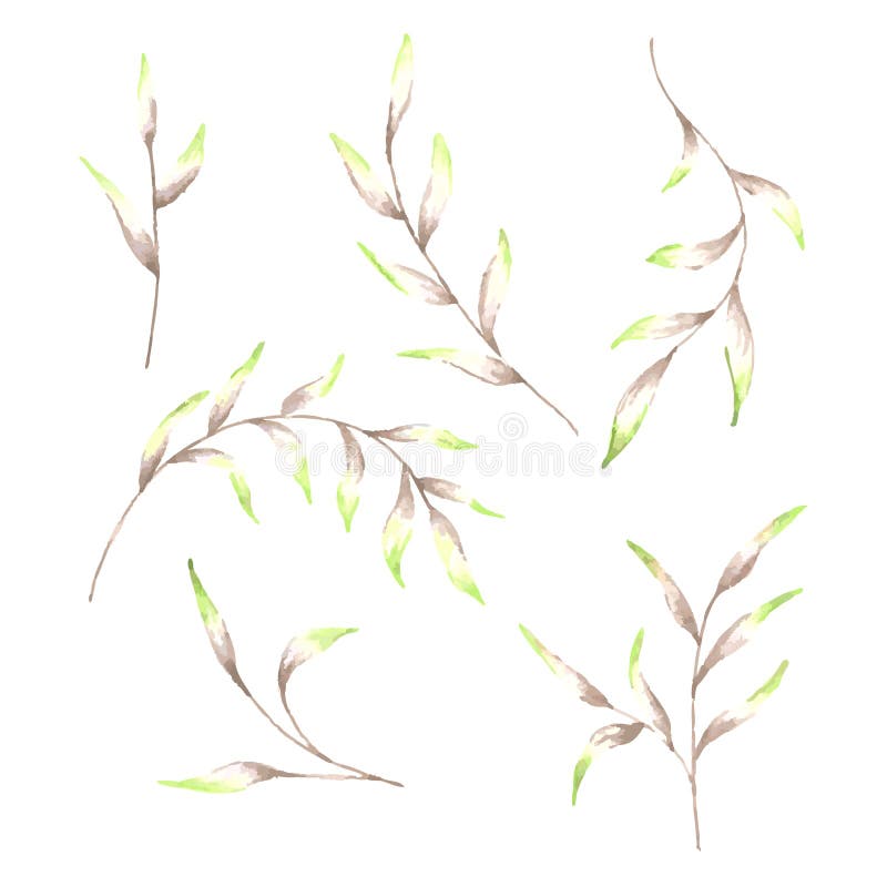 Branches et brindilles d'aquarelle de variété Ensemble d'éléments floraux d'isolement illustration stock Branches et brindilles d'aquarelle de variété Ensemble d'éléments floraux d'isolement illustration stock