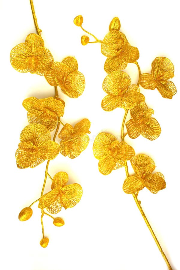 Branches with Flowers Gold Color Stock Image Image of gold, nature