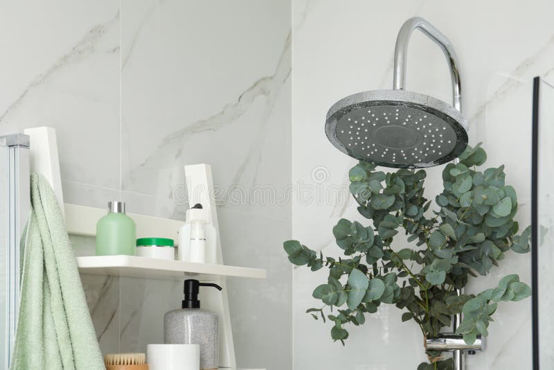 Branches with Green Eucalyptus in Shower Stock Image Image of detail