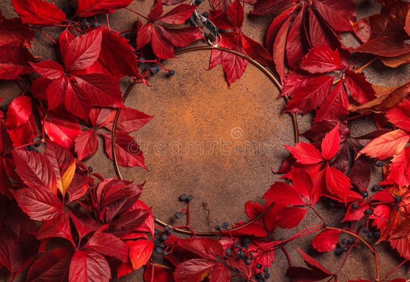 Branches of maiden grapes and golden ring on a stone background. Autumn leaves background. Concept of fall season royalty free stock photos