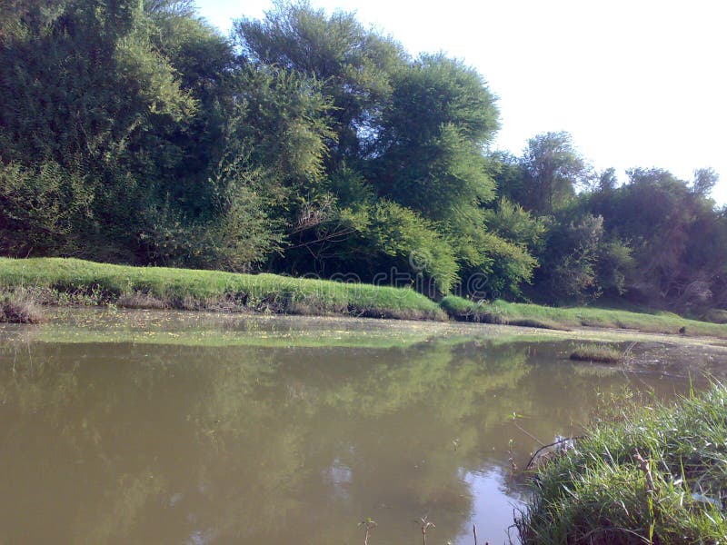 Branches of the Nile River in northern Sudan - Mobile camera N73 - year 2010 stock photography
