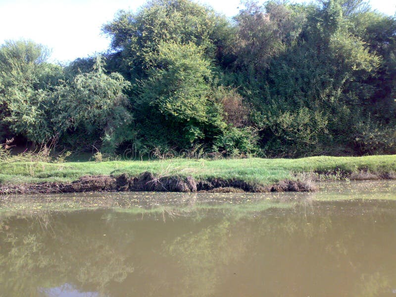 Branches of the Nile River in northern Sudan - Mobile camera N73 - year 2010 royalty free stock photo