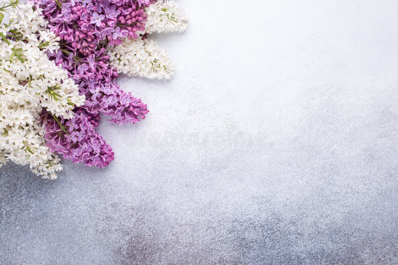 Branches of purple lilac on stone background. Romantic spring mood. Top view. Copy for your text