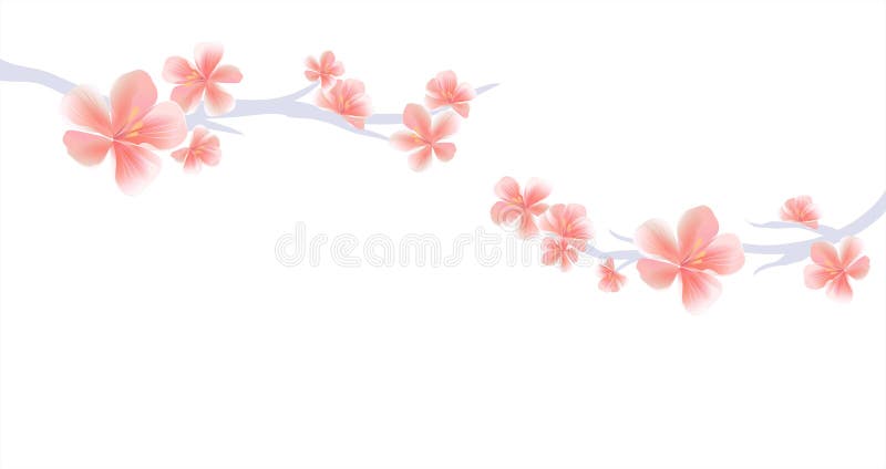 Branches of Sakura with Pink flowers on White background. Sakura flowers. Cherry blossom. Vector EPS 10, cmyk royalty free illustration Branches of Sakura with Pink flowers on White background. Sakura flowers. Cherry blossom. Vector EPS 10, cmyk royalty free illustration