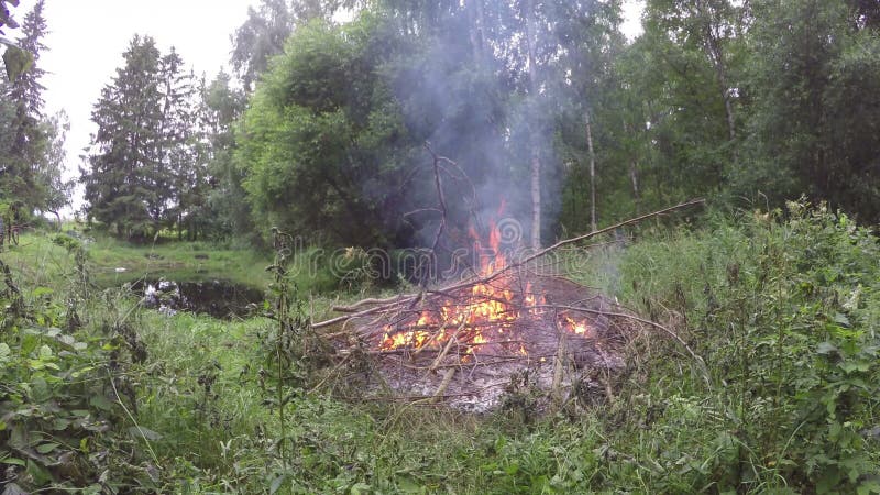 Branches thrown into bonfire, time lapse 4K stock footage