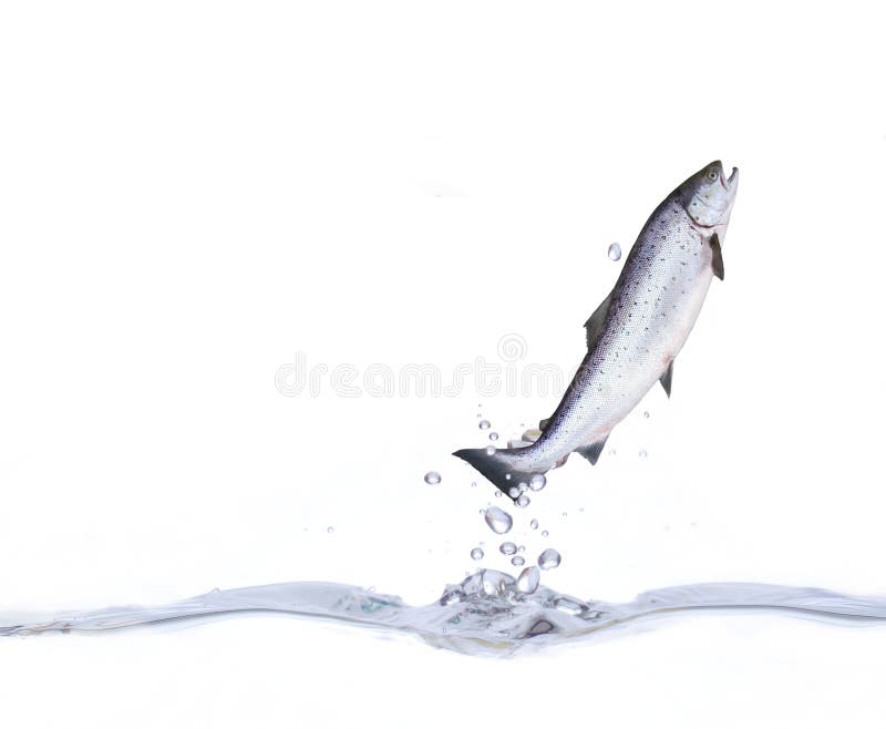 Branchez de l'eau Branchez de l'eau
