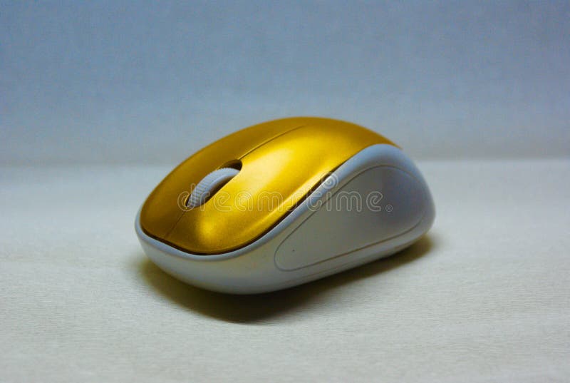 branco e rato do ouro com fundo desvanecido foto de stock branco e rato do ouro com fundo desvanecido foto de stock