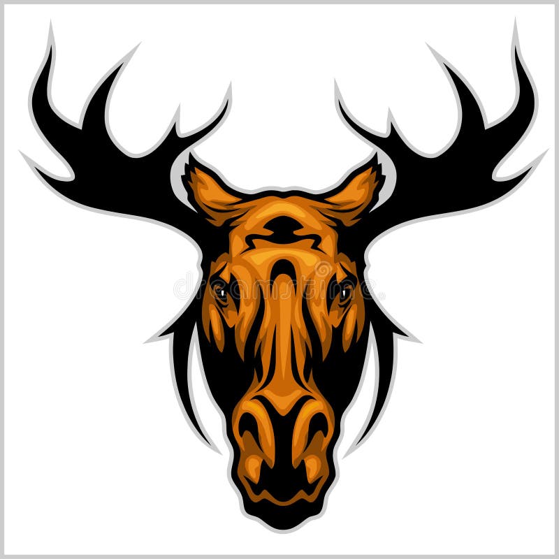 Moose head - on white background. Vector illustration. Moose head - on white background. Vector illustration.
