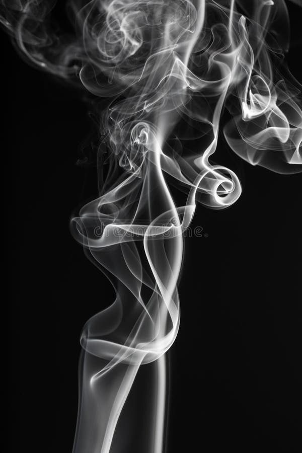 Branco no preto foto de stock