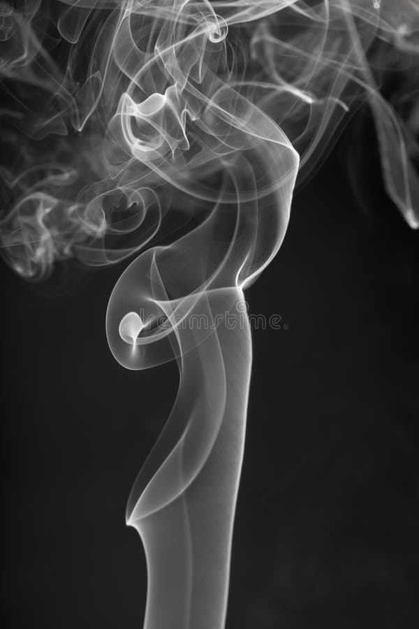 Branco no preto imagem de stock royalty free