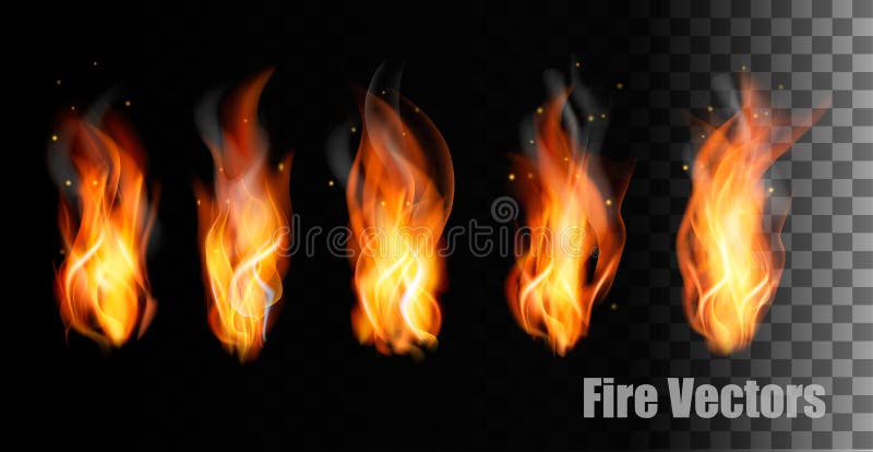 Fire s on transparent background. Vector. Fire s on transparent background. Vector