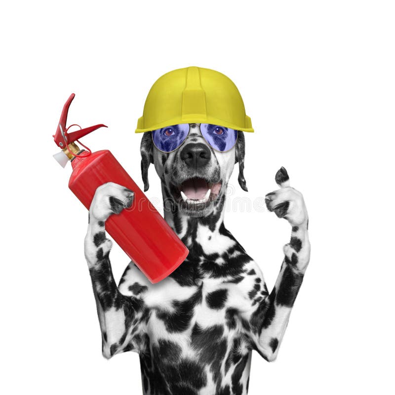 Brandmannen räddar all en hund från branden arkivfoton Brandmannen räddar all en hund från branden arkivfoton