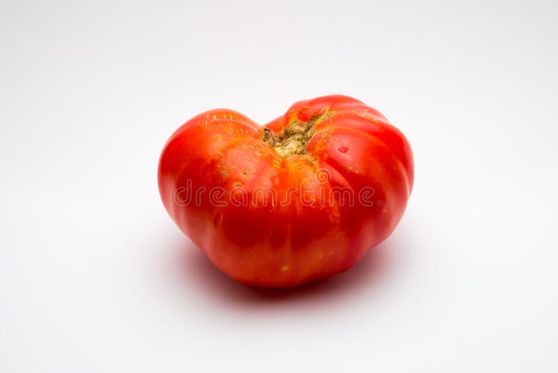 Brandywine tomato stock photo. Image of solanum, imperfection 59298084