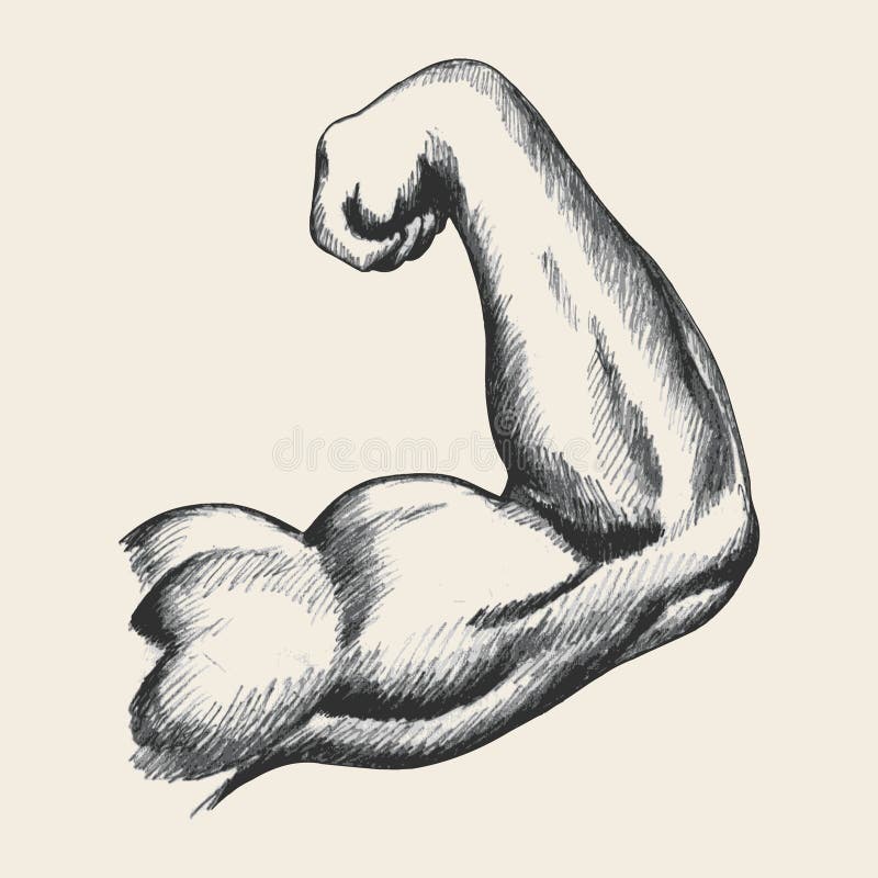 Bras Droit Masculin Musculaire Illustration de Vecteur Illustration