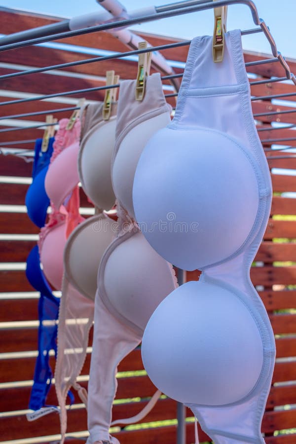 https://thumbs.dreamstime.com/b/bras-drying-multicolored-balcony-107643324.jpg