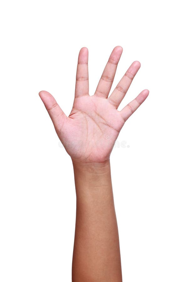 bras, main et doigts montrant le numéro cinq d'isolement sur le blanc