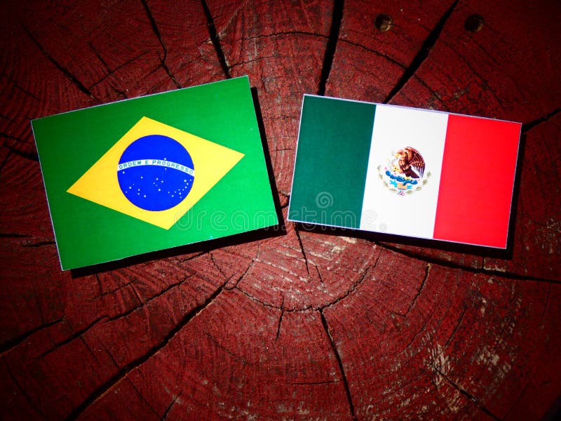 Brasiliansk flagga med den mexicanska flaggan på en isolerad trädstubbe royaltyfri fotografi Brasiliansk flagga med den mexicanska flaggan på en isolerad trädstubbe royaltyfri fotografi