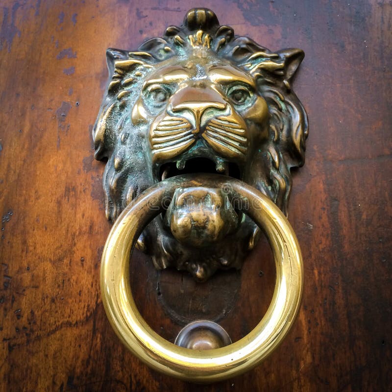 Brass door knocker on wooden door