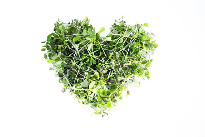 Brassica broccoli i czerwona kapusta mikrozielona w kształcie serca