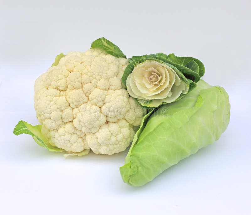 Brassica vegetables stock image. Image of food, rose 46688041