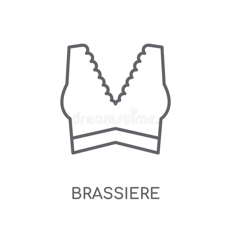 Brassiere Linear Icon. Modern Outline Brassiere Logo Concept on Stock  Vector - Illustration of fashion, brassieres: 133516318