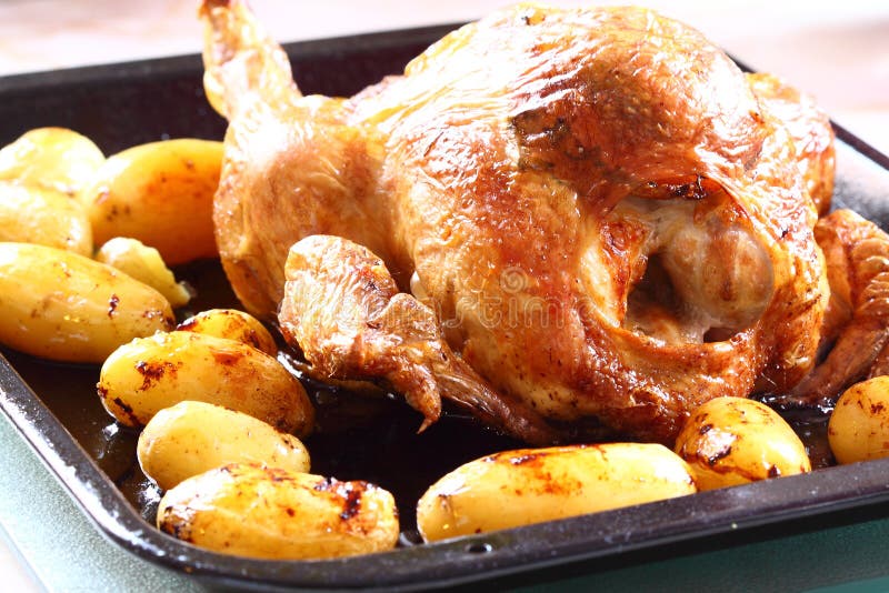 Frau Mit Dem Hund, Der Kaffeepause Hat Stockfoto Bild von liebhaberei