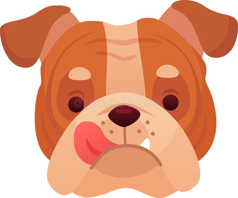 Brauner und weißer englischer Bulldogge, der seine rosa Zunge spielerisch herausklingt und einen lustigen Gesichtsausdruck in eine lizenzfreie abbildung