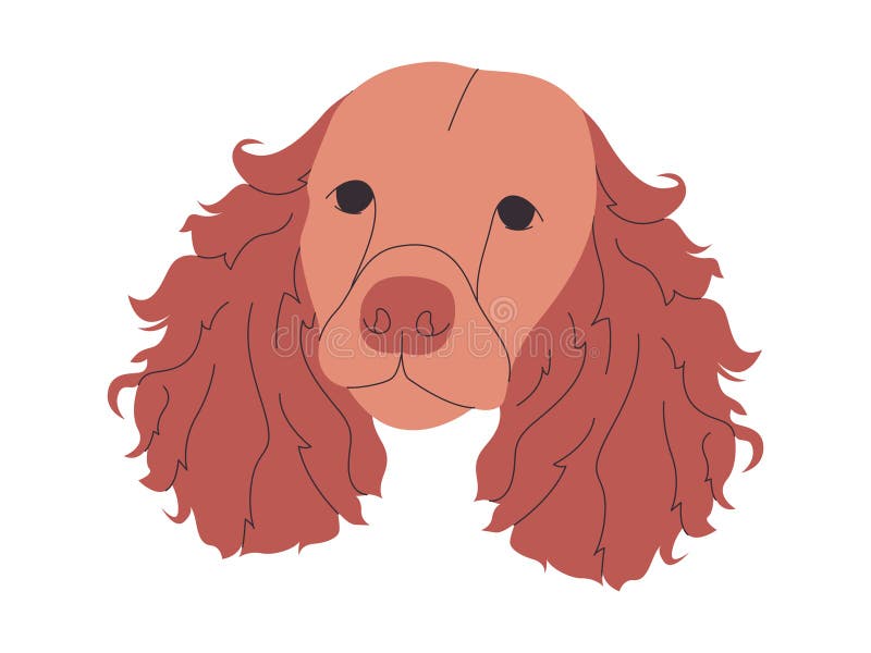 Braunes Farbkopfwasser Spaniel Hund züchten Säugetier mit großen Ohren süß adorable Haustier vektor abbildung