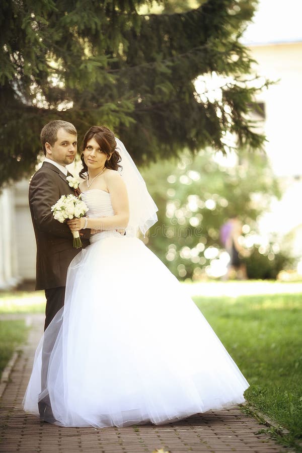 Braut und Bräutigam an der Hochzeit im Sommer parken stockfotografie Braut und Bräutigam an der Hochzeit im Sommer parken stockfotografie