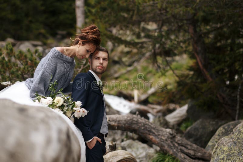 Braut und Bräutigam in einem Parkküssen Paarjungvermählten Braut und Bräutigam an einer Hochzeit im Naturgrünwald küssen Foto lizenzfreie stockfotografie Braut und Bräutigam in einem Parkküssen Paarjungvermählten Braut und Bräutigam an einer Hochzeit im Naturgrünwald küssen Foto lizenzfreie stockfotografie