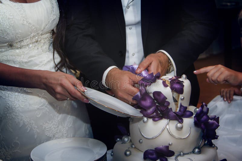 Braut und Bräutigam schnitten eine Hochzeitstorte lizenzfreie stockbilder Braut und Bräutigam schnitten eine Hochzeitstorte lizenzfreie stockbilder