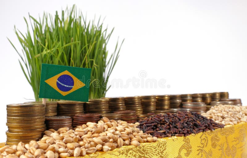 Brazil flag waving with stack of money coins and piles of seeds