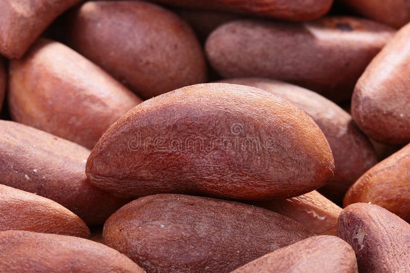 Brazil nut