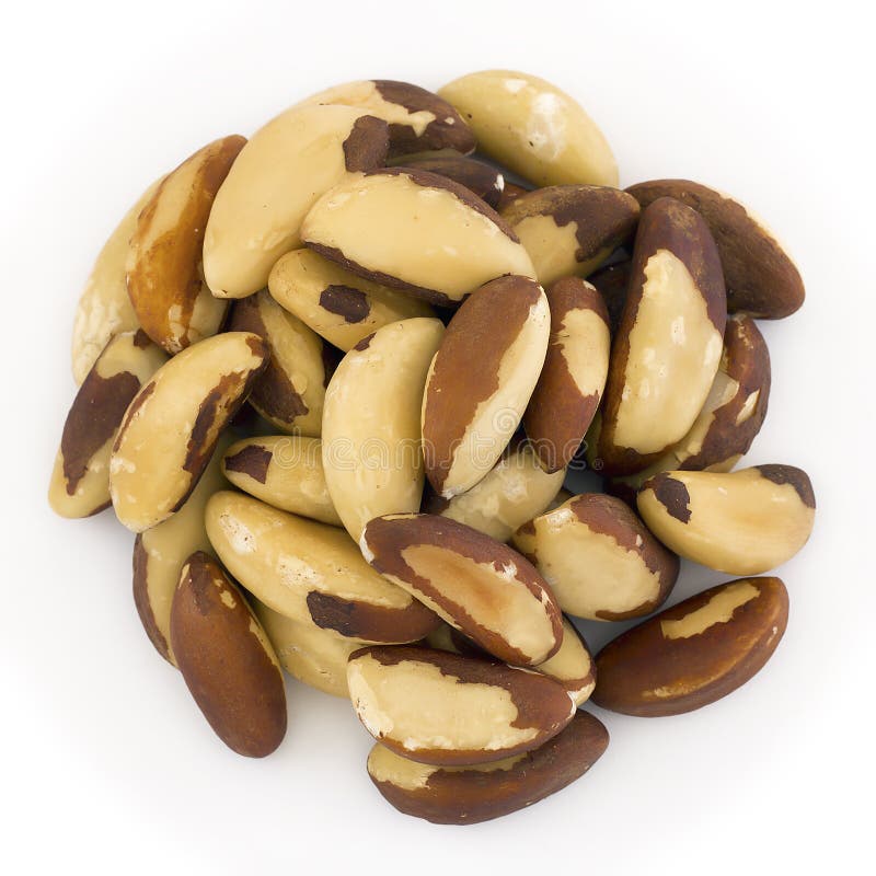 Brazil nuts stock image. Image of brazil, food, nutshell 20674031