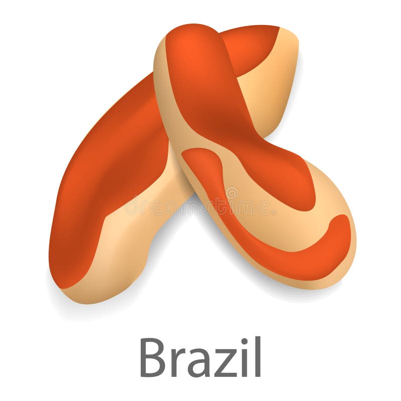 Download Brazil Nut Mockup, Realistic Style Stock Vector - Illustration of natural, detailed: 117408677