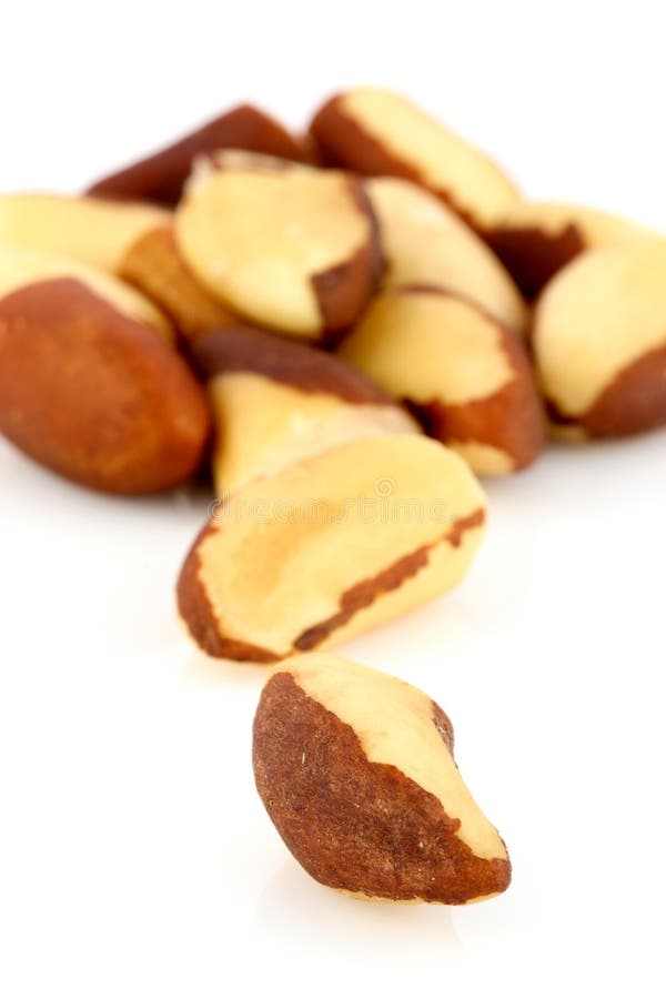 Brazil nuts stock image. Image of close, dried, brazil 19336987