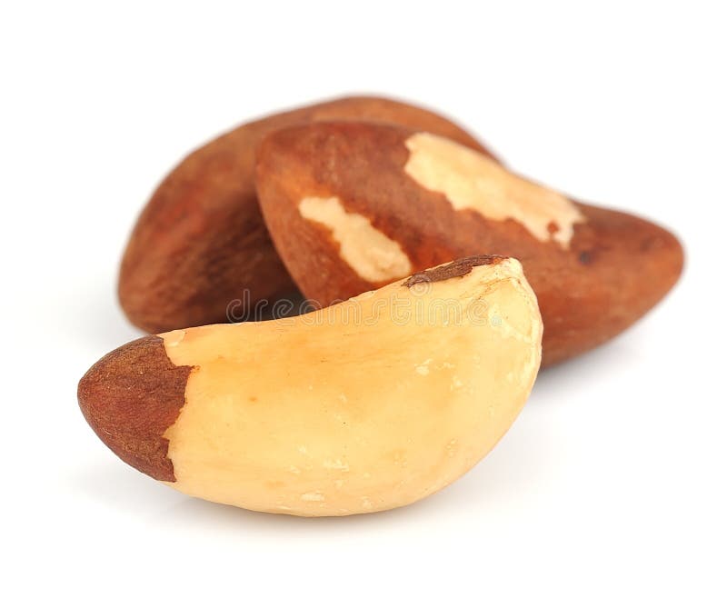 Brazil nuts royalty free stock photography Brazil nuts royalty free stock photography