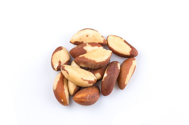 Brazil Nuts stock image. Image of diet, gourmet, excelsa 273137265