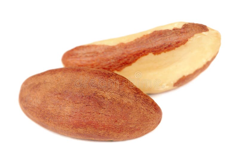 Brazil Nuts Close-up Isolated on White Background royalty free stock photos Brazil Nuts Close-up Isolated on White Background royalty free stock photos