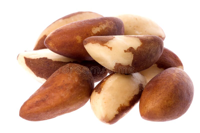 Brazil Nuts Isolated stock photo. Image of food, closeup 6558998