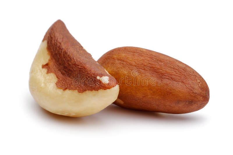 Brazil Nuts Isolated on White Stock Image Image of healthy, macro