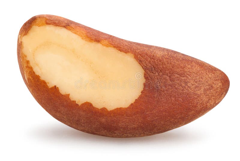 Brazil nuts stock photo. Image of refreshment, healthy - 77194614