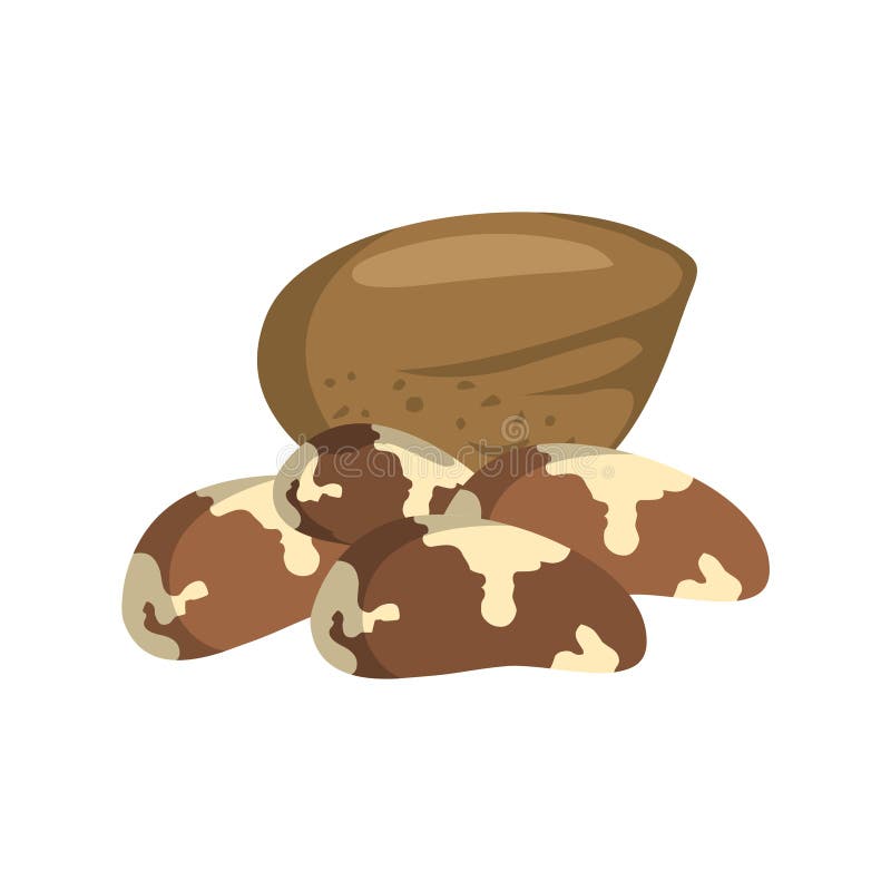 Brazil nuts stock illustration. Illustration of delicious 1390464