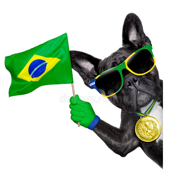 Brazil soccer dog stock photography