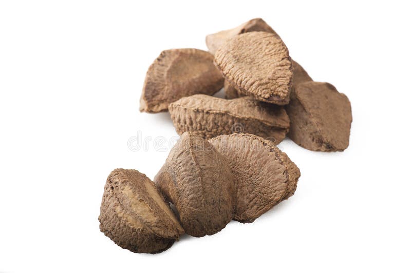 Brazil walnut stock photo. Image of calorie, brasilian 72843692